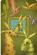 Диксит 5: Сны на яву (Dixit 5. Daydreams)